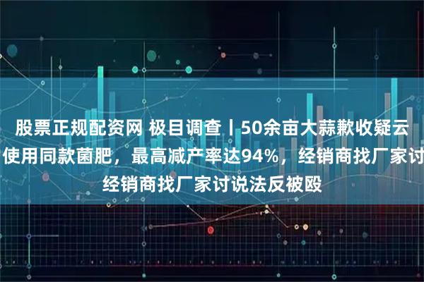 股票正规配资网 极目调查丨50余亩大蒜歉收疑云：22家农户使用同款菌肥，最高减产率达94%，经销商找厂家讨说法反被殴