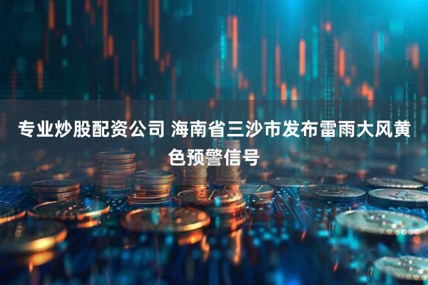 专业炒股配资公司 海南省三沙市发布雷雨大风黄色预警信号